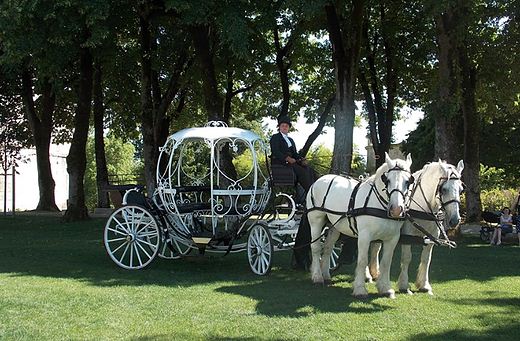 Location de calèches fête médiévale, mairie, mariage